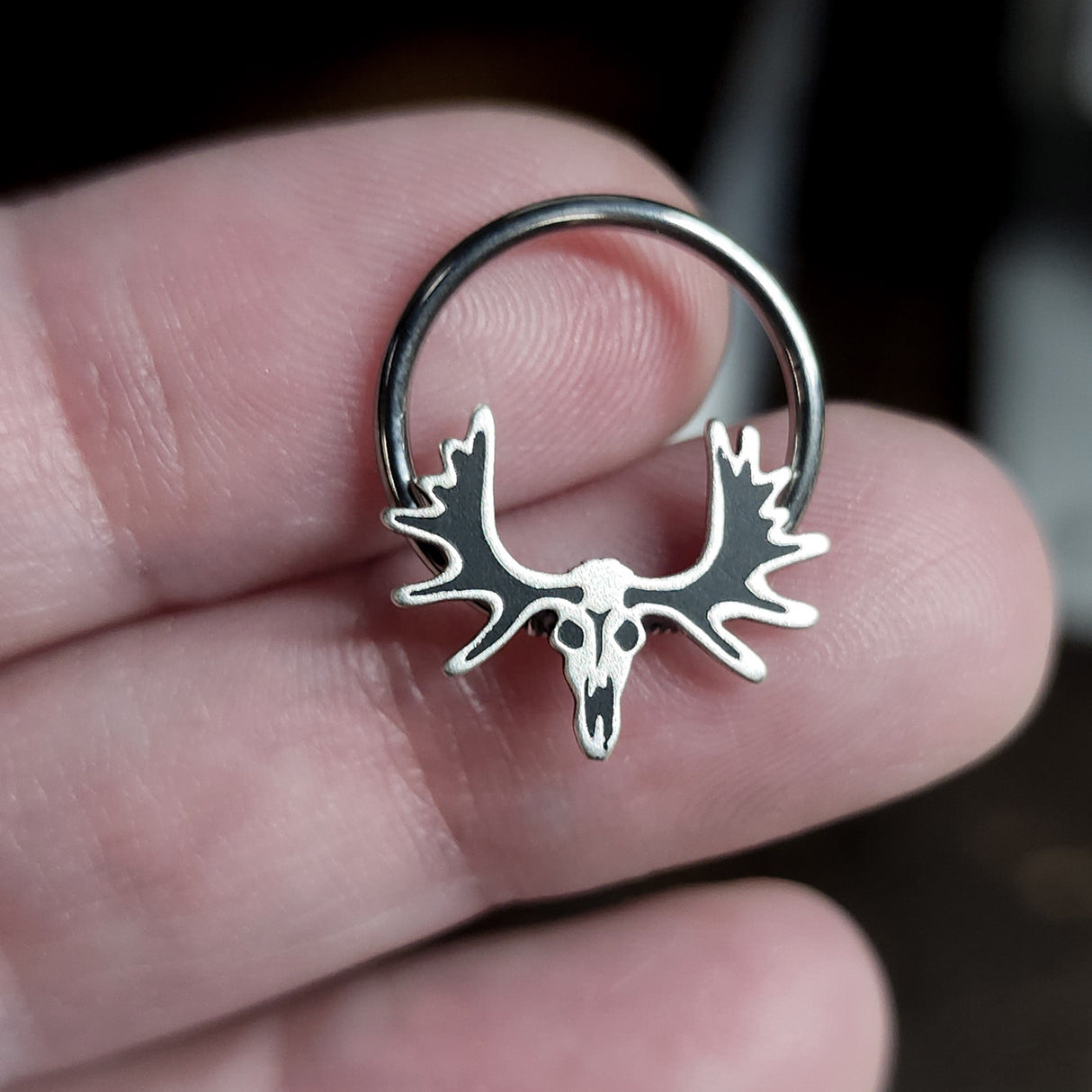 moose skull captive bead ring
