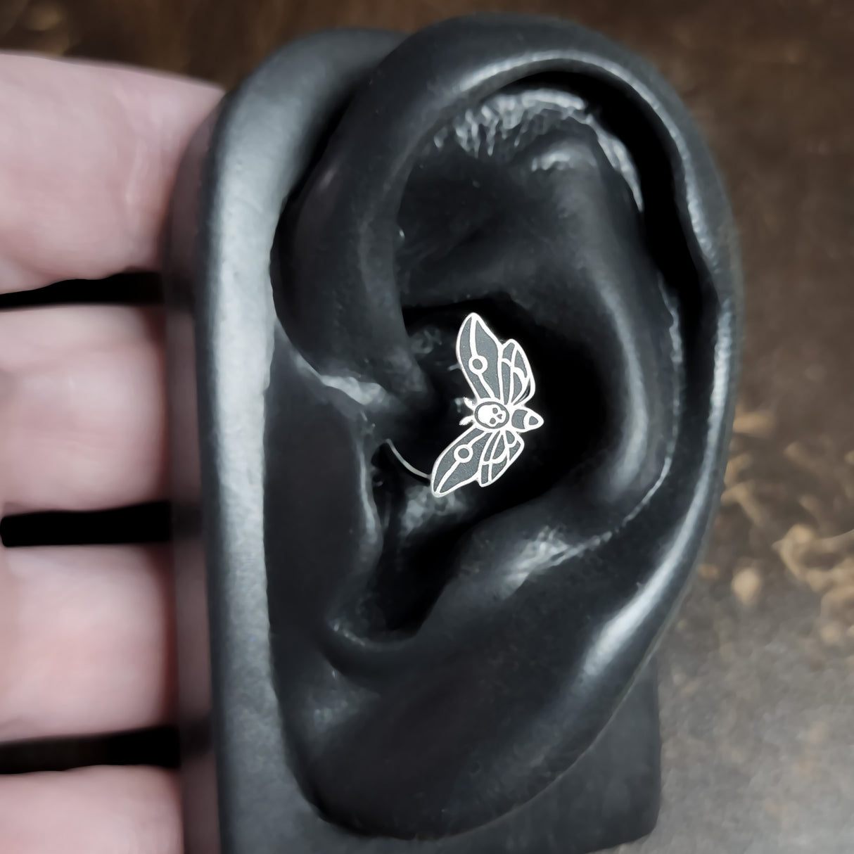 skull moth daith earring