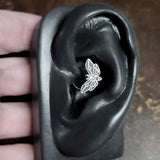 skull moth daith earring