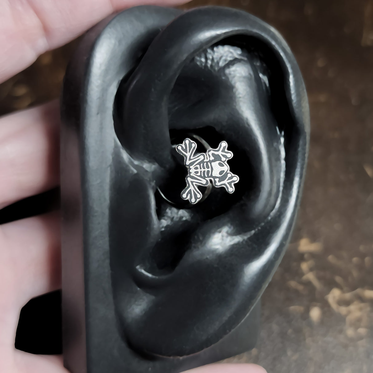 skeleton frog daith earring