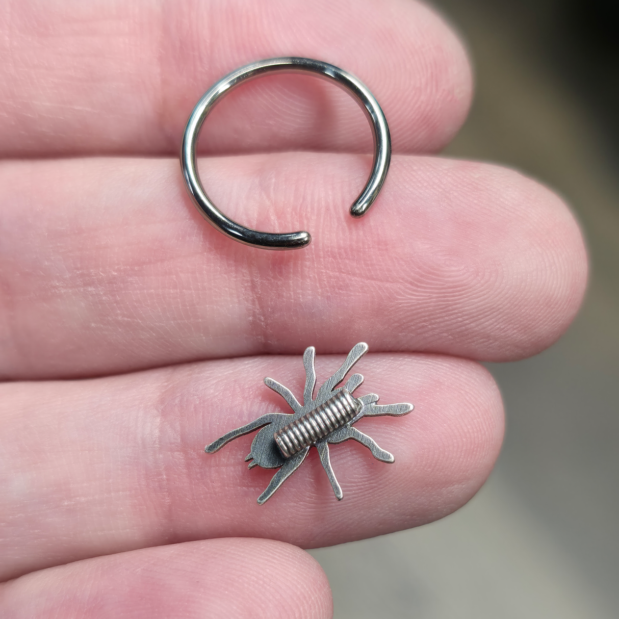 back side of tarantula septum ring
