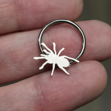 tarantula septum ring