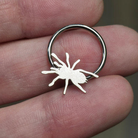 tarantula septum ring