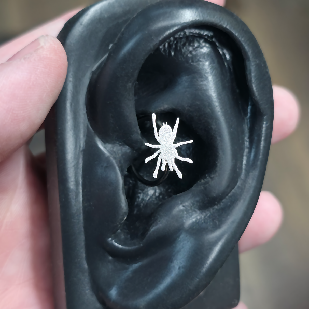 tarantula daith earring