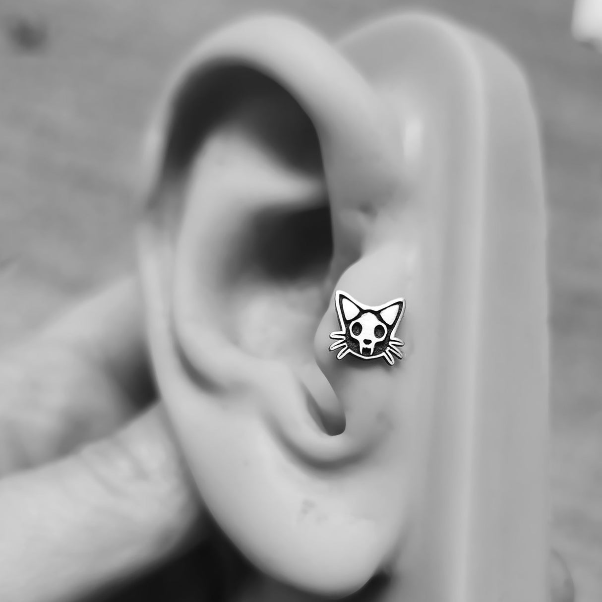 Skull Cat Stud - Metal Lotus