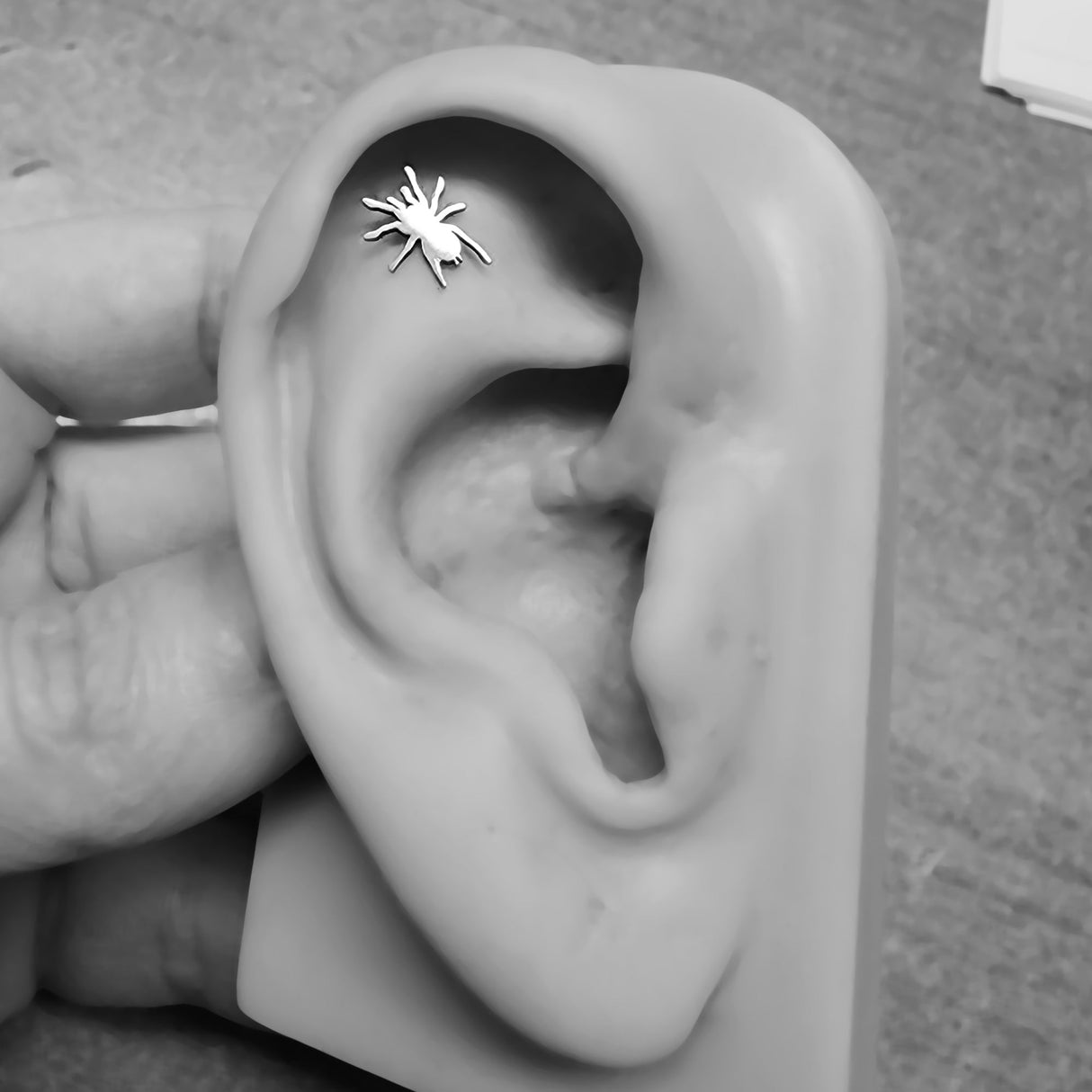 Tarantula Silhouette Stud - Metal Lotus